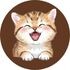 Yavru Kedi